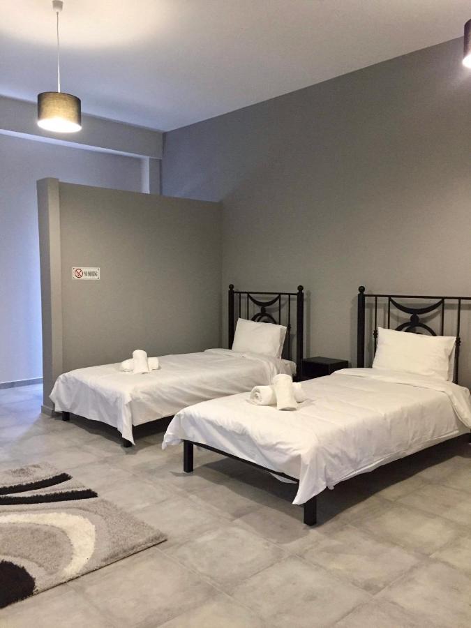 Meteora House- Cozy Living Apartment Kalampáka Luaran gambar