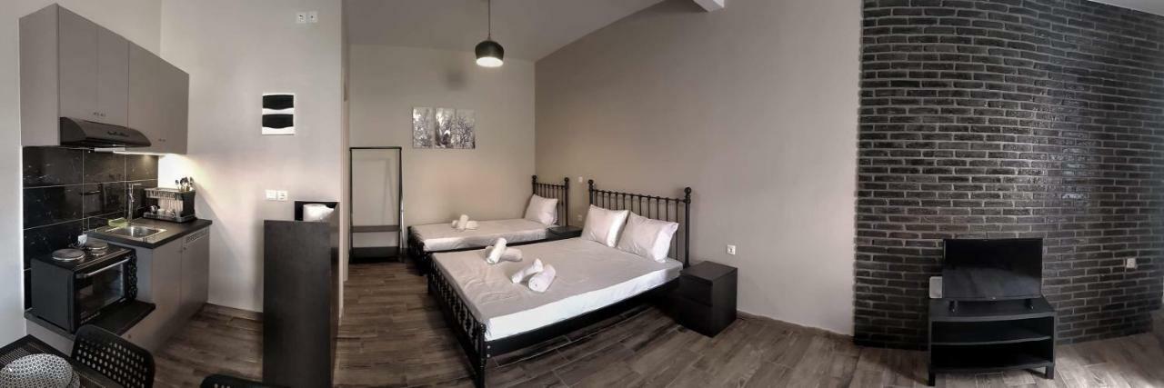 Meteora House- Cozy Living Apartment Kalampáka Luaran gambar